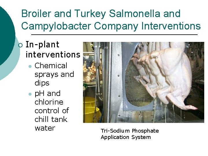 Broiler and Turkey Salmonella and Campylobacter Company Interventions ¡ In-plant interventions l l Chemical
