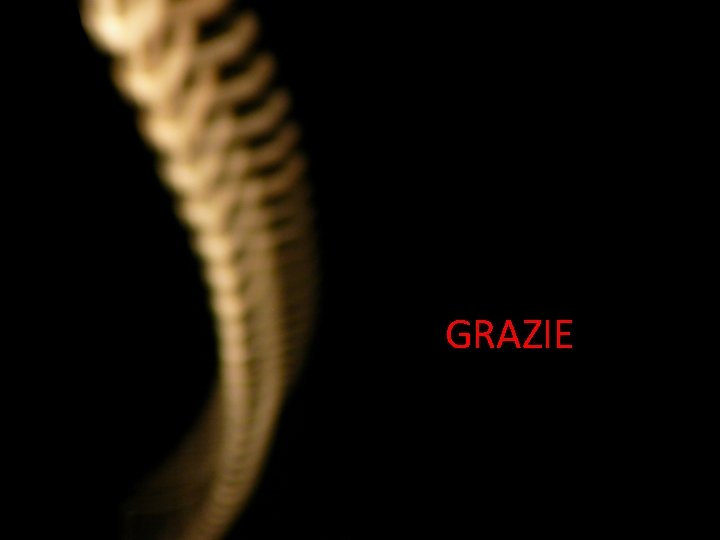 GRAZIE GRAZIE