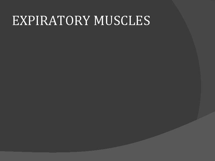 EXPIRATORY MUSCLES 