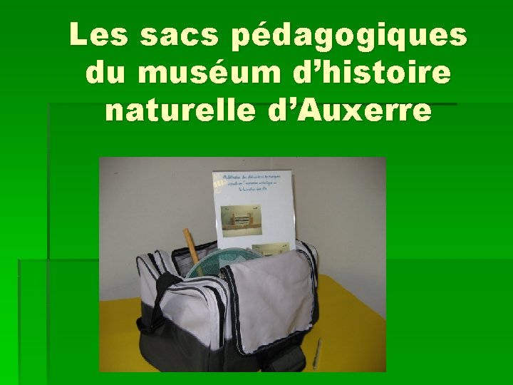 Les sacs pédagogiques du muséum d’histoire naturelle d’Auxerre 