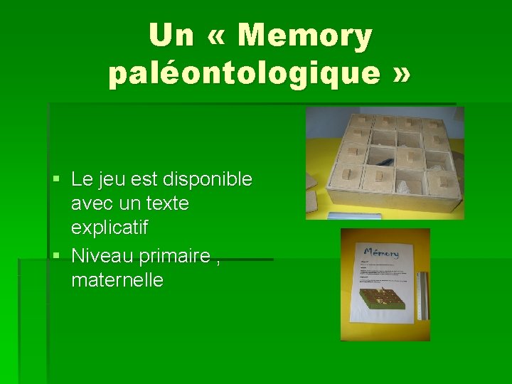 Un « Memory paléontologique » § Le jeu est disponible avec un texte explicatif