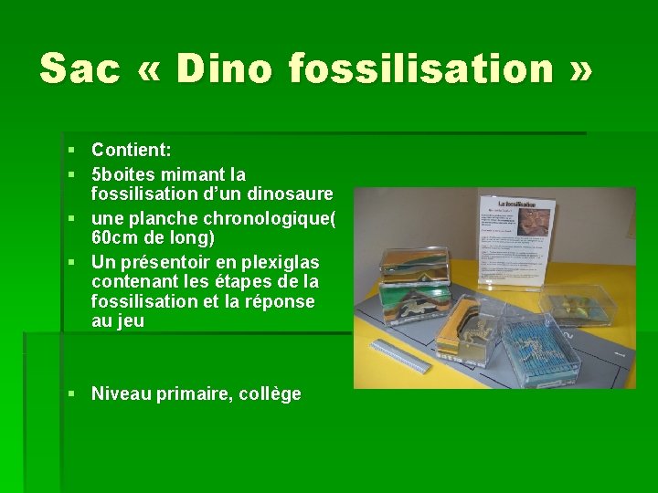 Sac « Dino fossilisation » § Contient: § 5 boites mimant la fossilisation d’un