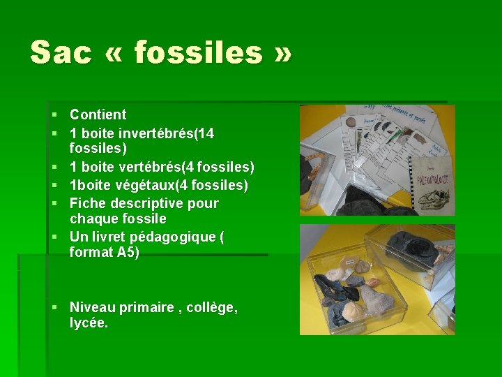 Sac « fossiles » § Contient § 1 boite invertébrés(14 fossiles) § 1 boite