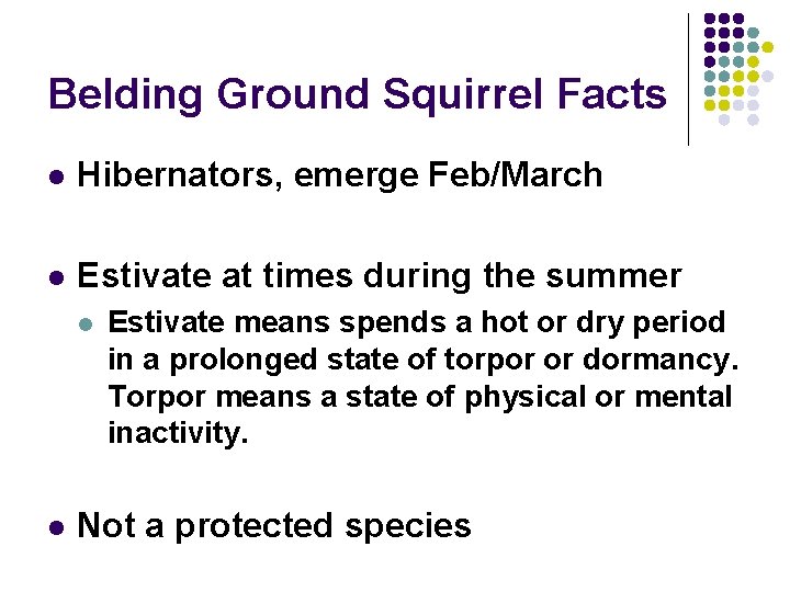 Belding Ground Squirrel Facts l Hibernators, emerge Feb/March l Estivate at times during the