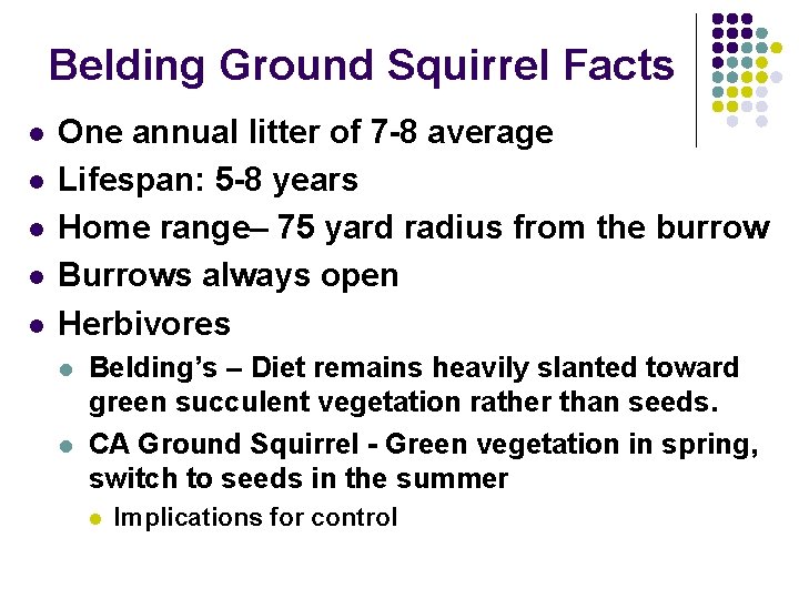 Belding Ground Squirrel Facts l l l One annual litter of 7 -8 average