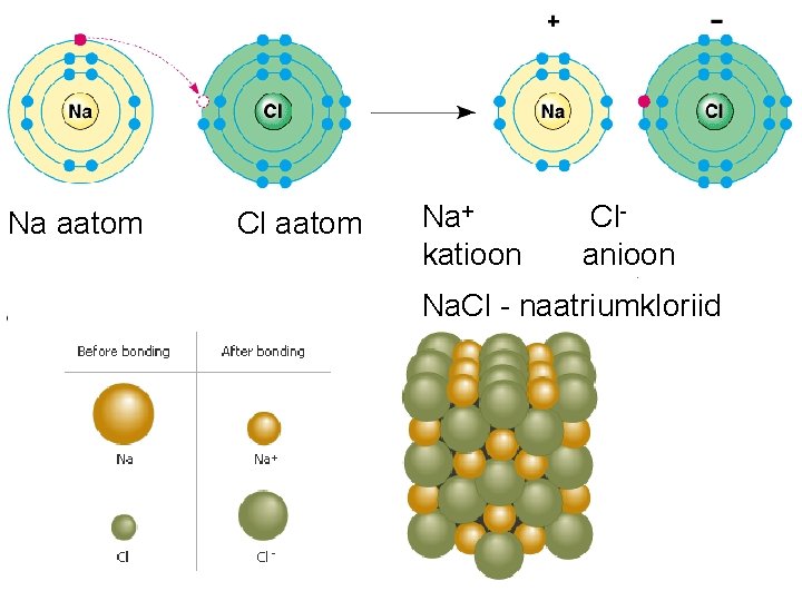 Na aatom Cl aatom Na+ katioon Clanioon Na. Cl - naatriumkloriid 