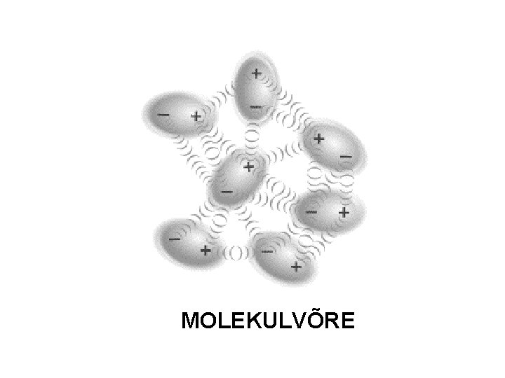 MOLEKULVÕRE 