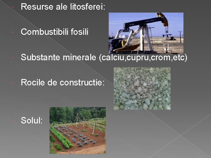  Resurse ale litosferei: Combustibili fosili Substante minerale (calciu, cupru, crom, etc) Rocile de
