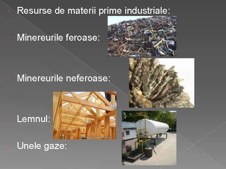  Resurse de materii prime industriale: Minereurile feroase: Minereurile neferoase: Lemnul: Unele gaze: 