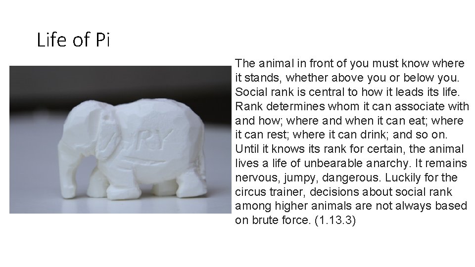 Life of Pi The animal in front of you must know where it stands, Life of Pi The animal in front of you must know where it stands,