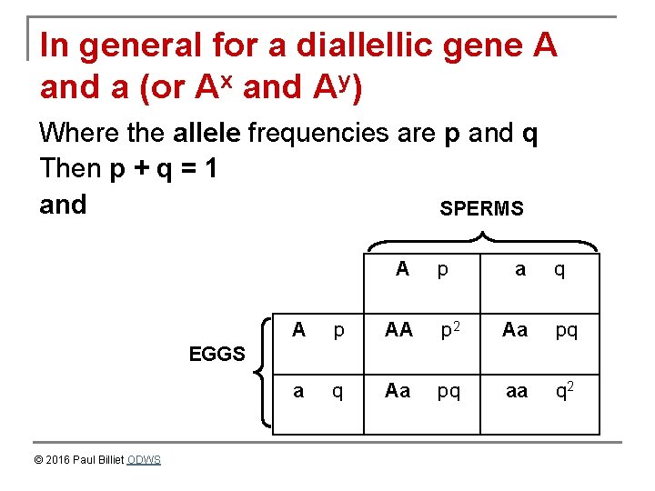 In general for a diallellic gene A and a (or Ax and Ay) Where