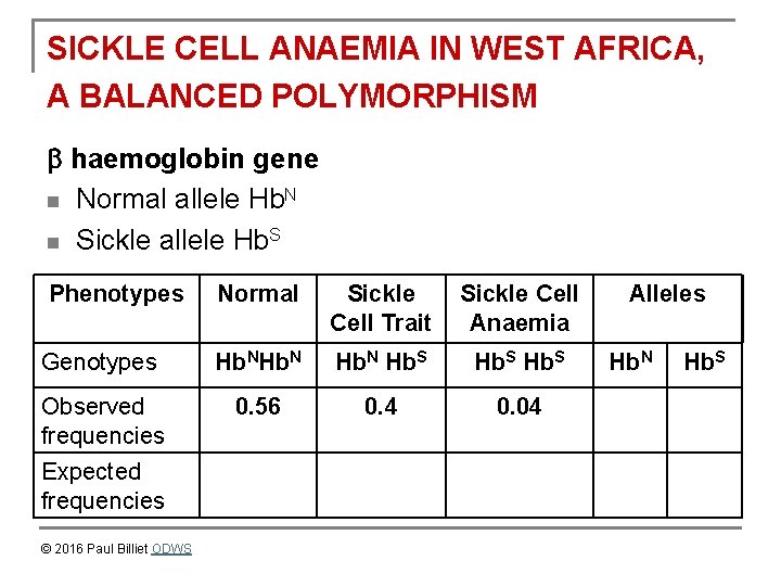 SICKLE CELL ANAEMIA IN WEST AFRICA, A BALANCED POLYMORPHISM haemoglobin gene n Normal allele