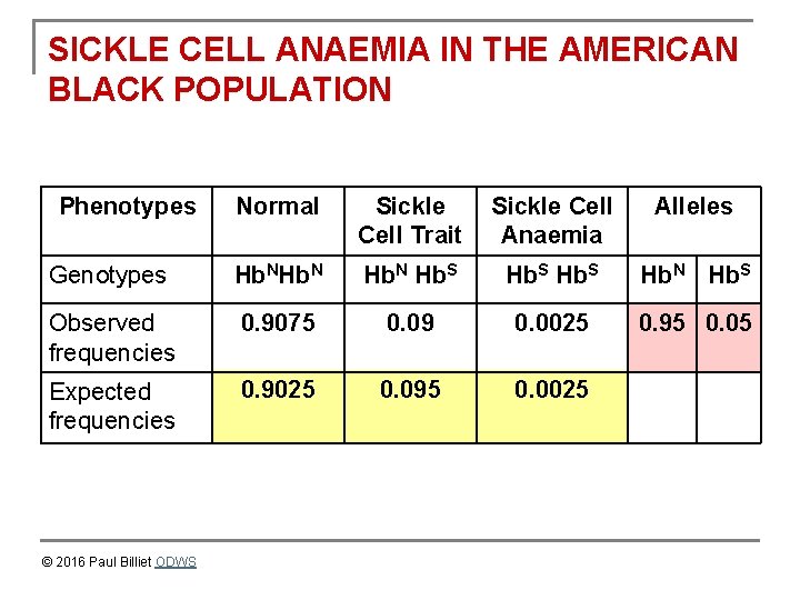 SICKLE CELL ANAEMIA IN THE AMERICAN BLACK POPULATION Phenotypes Normal Sickle Cell Trait Sickle