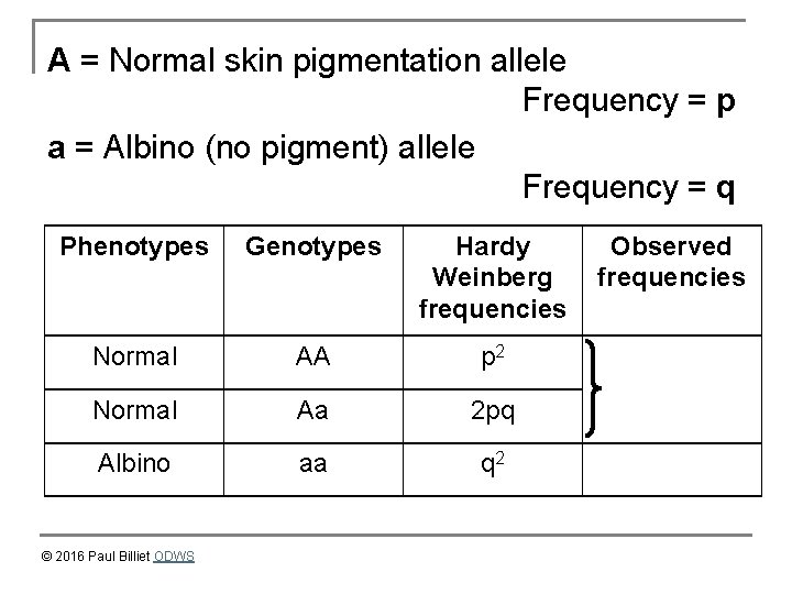 A = Normal skin pigmentation allele Frequency = p a = Albino (no pigment)