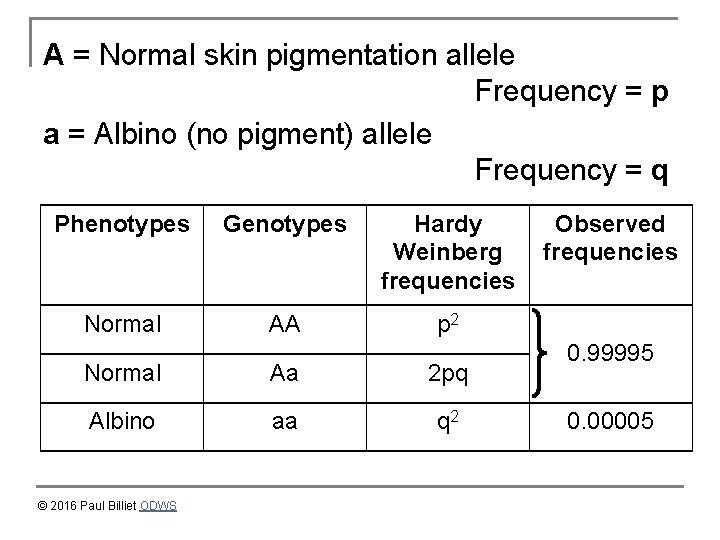 A = Normal skin pigmentation allele Frequency = p a = Albino (no pigment)