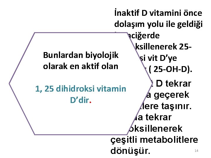 İnaktif D vitamini önce dolaşım yolu ile geldiği karaciğerde hidroksillenerek 25 Bunlardan biyolojik hidroksi İnaktif D vitamini önce dolaşım yolu ile geldiği karaciğerde hidroksillenerek 25 Bunlardan biyolojik hidroksi