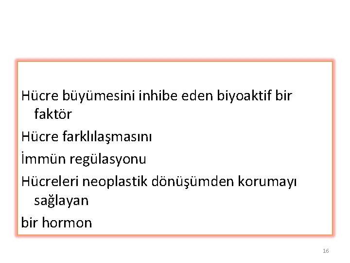 Hücre büyümesini inhibe eden biyoaktif bir faktör Hücre farklılaşmasını İmmün regülasyonu Hücreleri neoplastik dönüşümden