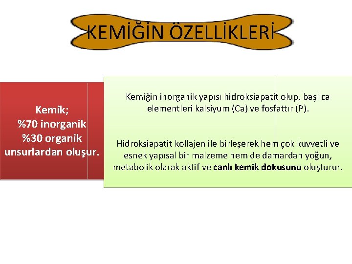 KEMİĞİN ÖZELLİKLERİ Kemik; %70 inorganik %30 organik unsurlardan oluşur. Kemiğin inorganik yapısı hidroksiapatit olup,