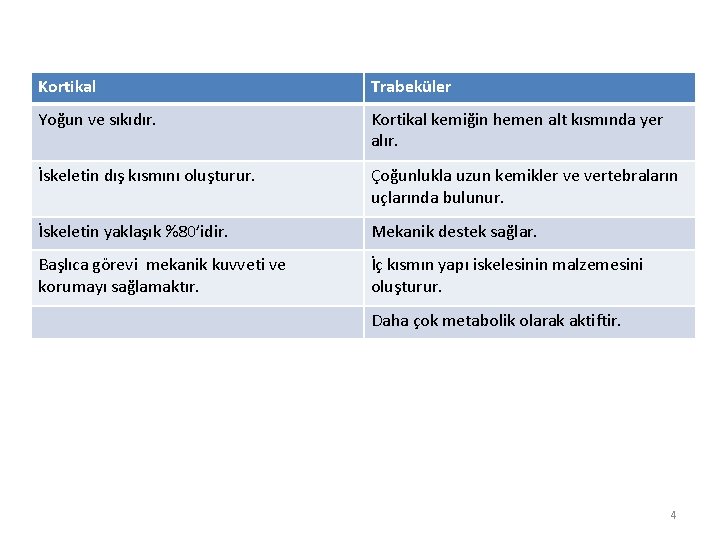 Kortikal Trabeküler Yoğun ve sıkıdır. Kortikal kemiğin hemen alt kısmında yer alır. İskeletin dış