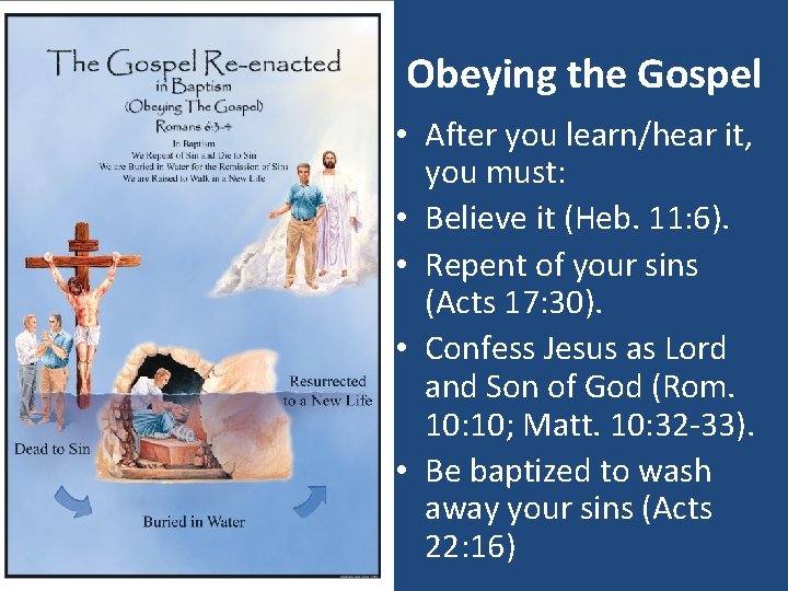 Obeying the Gospel • After you learn/hear it, you must: • Believe it (Heb.
