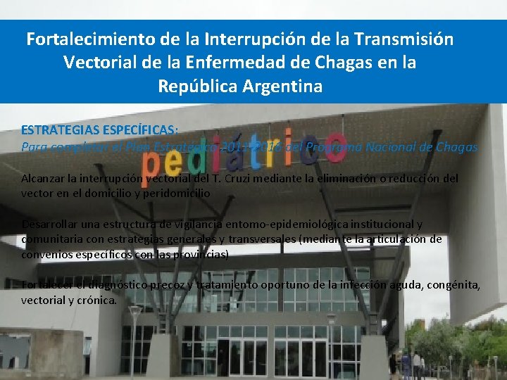 Fortalecimiento de la Interrupción de la Transmisión Vectorial de la Enfermedad de Chagas en