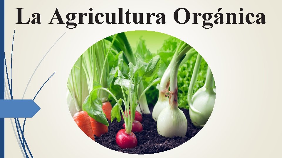 La Agricultura Orgánica 