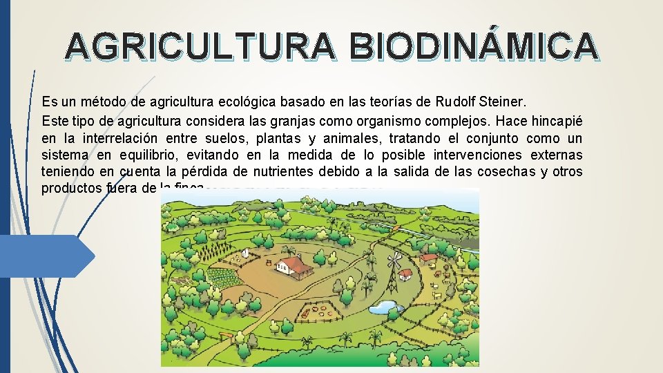 AGRICULTURA BIODINÁMICA Es un método de agricultura ecológica basado en las teorías de Rudolf