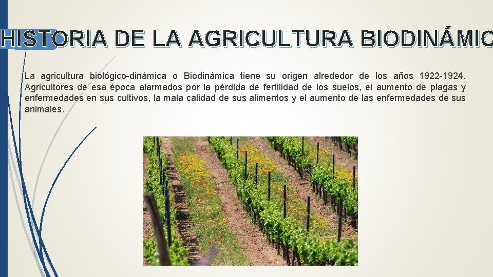 HISTORIA DE LA AGRICULTURA BIODINÁMIC La agricultura biológico-dinámica o Biodinámica tiene su origen alrededor