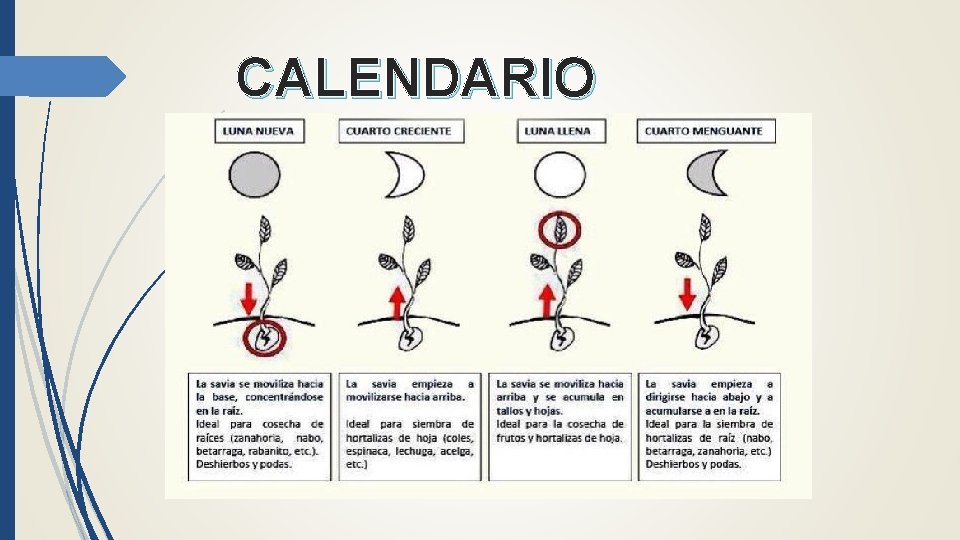 CALENDARIO LUNAR 