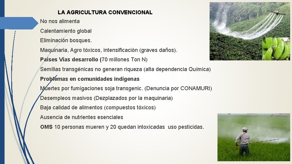 LA AGRICULTURA CONVENCIONAL No nos alimenta Calentamiento global Eliminación bosques. Maquinaria, Agro tóxicos, intensificación