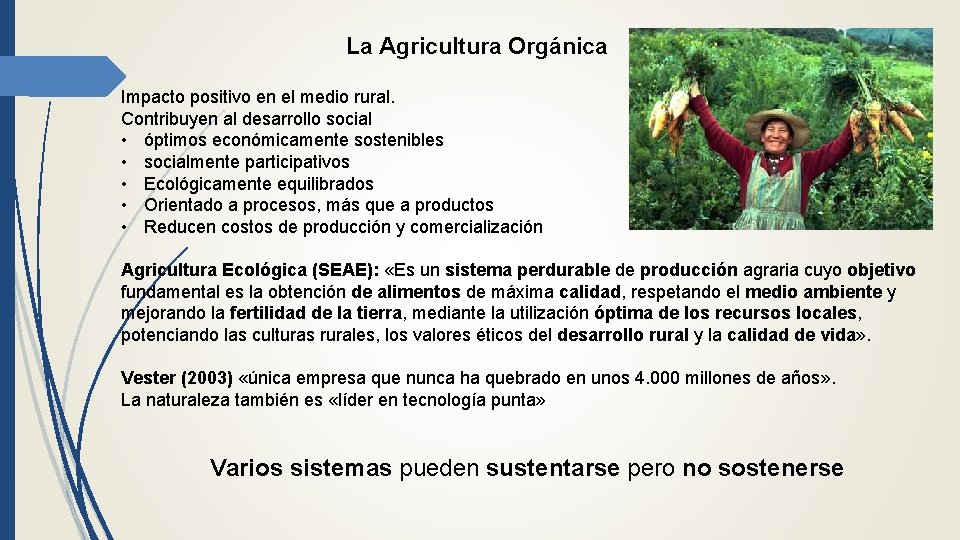 La Agricultura Orgánica Impacto positivo en el medio rural. Contribuyen al desarrollo social •