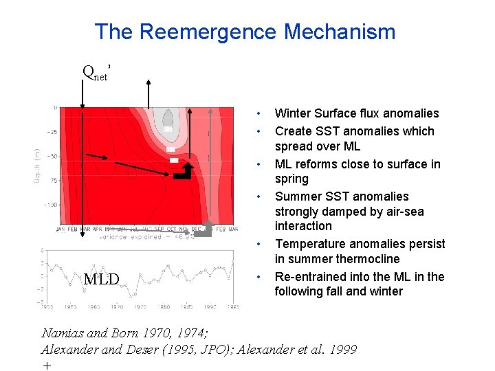 The Reemergence Mechanism Qnet’ • • • MLD • Winter Surface flux anomalies Create