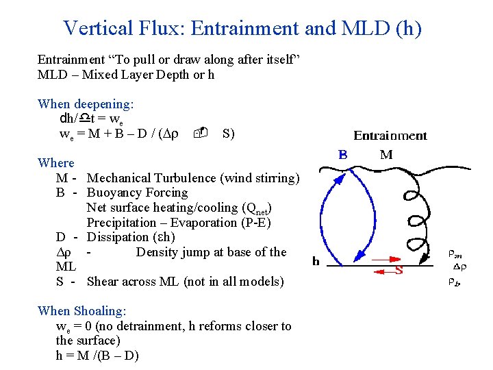 Vertical Flux: Entrainment and MLD (h) Entrainment “To pull or draw along after itself”
