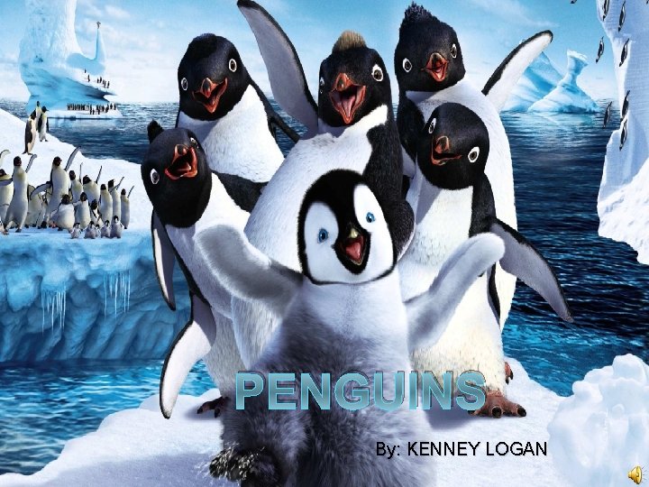 PENGUINS By: KENNEY LOGAN 