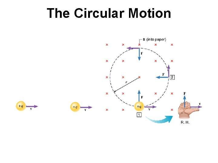 The Circular Motion 