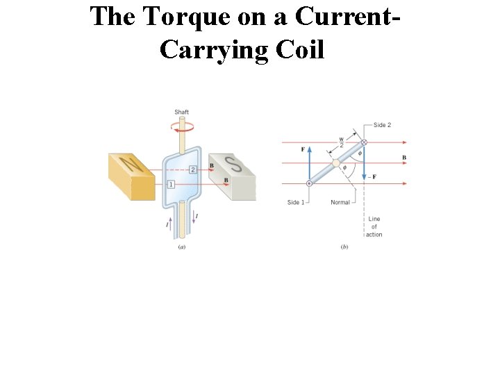 The Torque on a Current. Carrying Coil 