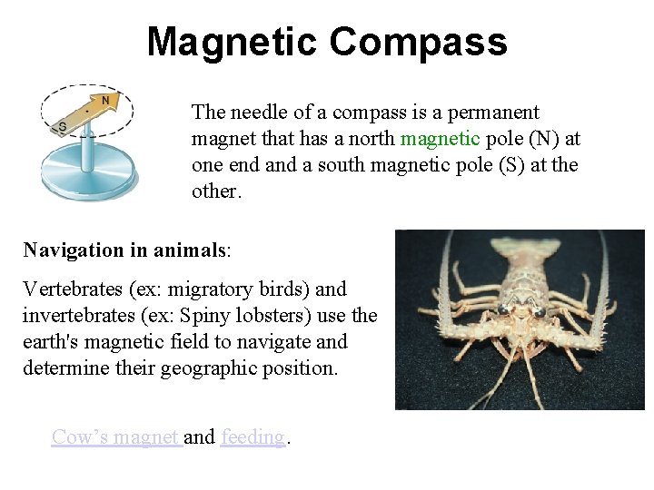 Magnetic Compass The needle of a compass is a permanent magnet that has a