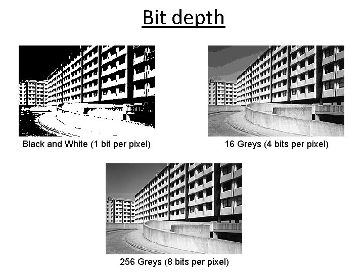 Bit depth Black and White (1 bit per pixel) 16 Greys (4 bits per