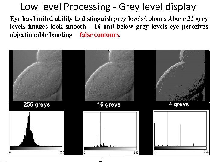 Low level Processing - Grey level display Eye has limited ability to distinguish grey