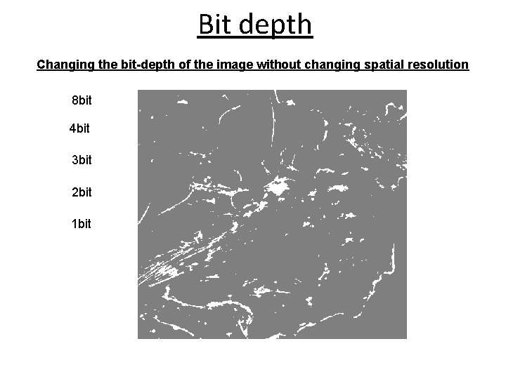 Bit depth Changing the bit-depth of the image without changing spatial resolution 8 bit