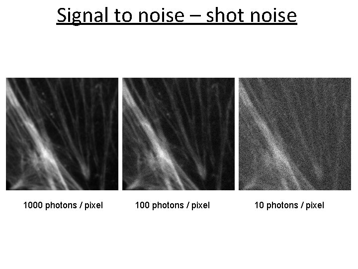 Signal to noise – shot noise 1000 photons / pixel 10 photons / pixel