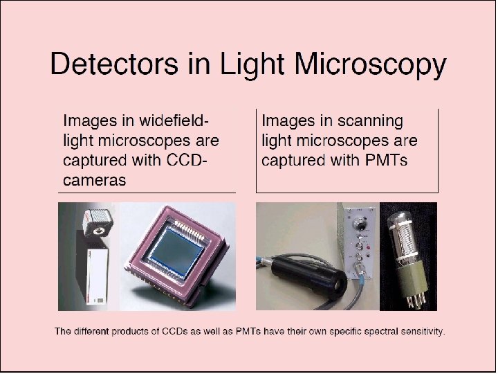 Presentation of 16 -bit Image in OS Windows 