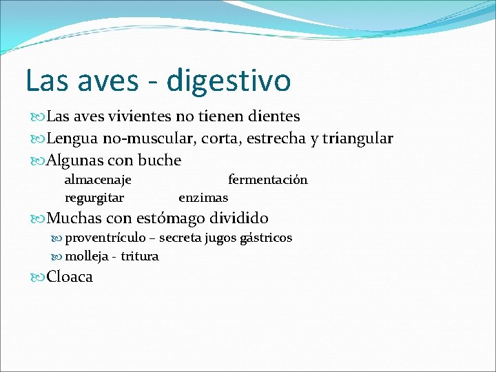 Las aves - digestivo Las aves vivientes no tienen dientes Lengua no-muscular, corta, estrecha