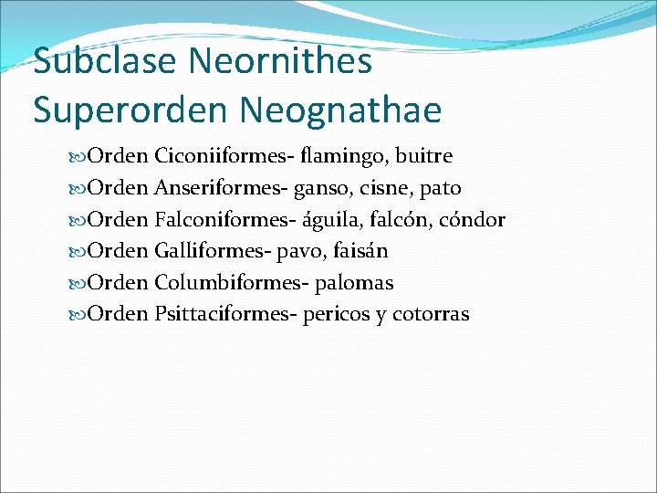 Subclase Neornithes Superorden Neognathae Orden Ciconiiformes- flamingo, buitre Orden Anseriformes- ganso, cisne, pato Orden