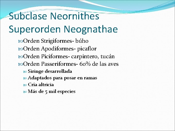 Subclase Neornithes Superorden Neognathae Orden Strigiformes- búho Orden Apodiformes- picaflor Orden Piciformes- carpintero, tucán