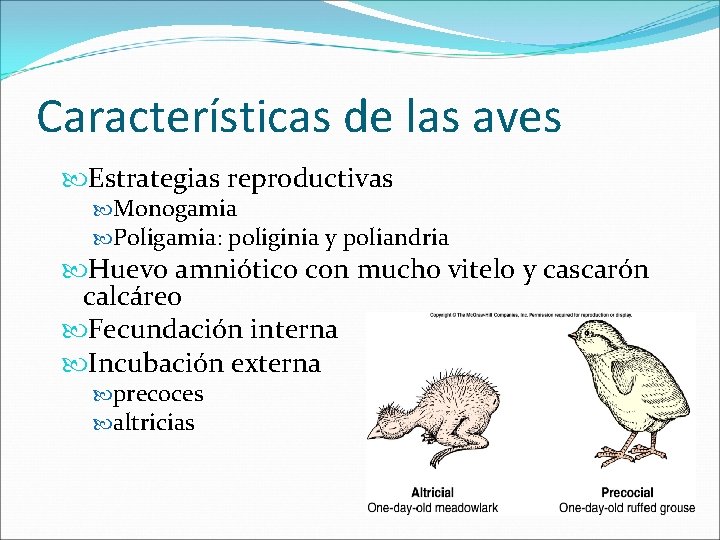 Características de las aves Estrategias reproductivas Monogamia Poligamia: poliginia y poliandria Huevo amniótico con