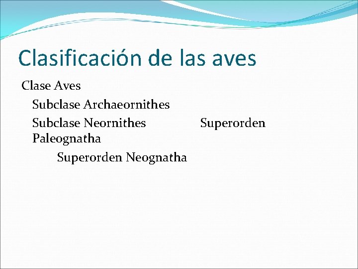 Clasificación de las aves Clase Aves Subclase Archaeornithes Subclase Neornithes Paleognatha Superorden Neognatha Superorden