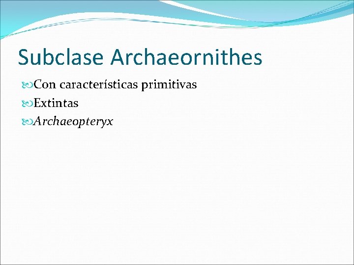 Subclase Archaeornithes Con características primitivas Extintas Archaeopteryx 