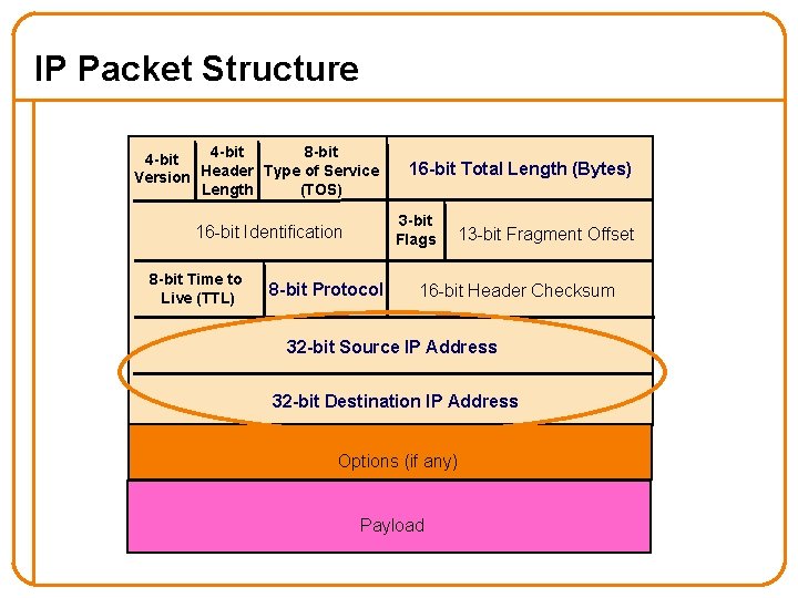 IP Packet Structure 4 -bit 8 -bit 4 -bit Version Header Type of Service IP Packet Structure 4 -bit 8 -bit 4 -bit Version Header Type of Service