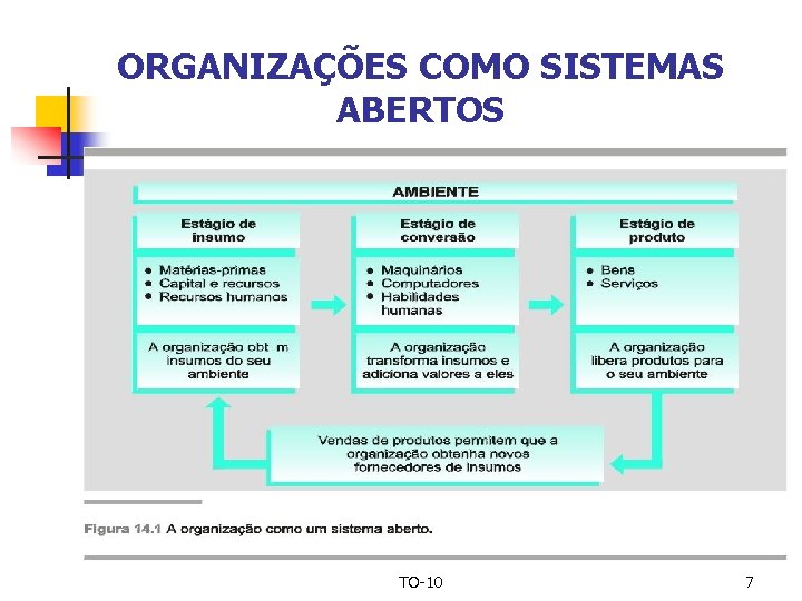 TEORIA DE SISTEMAS Prof Dra Maria Virginia Llatas